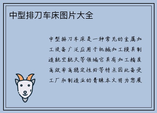 中型排刀车床图片大全